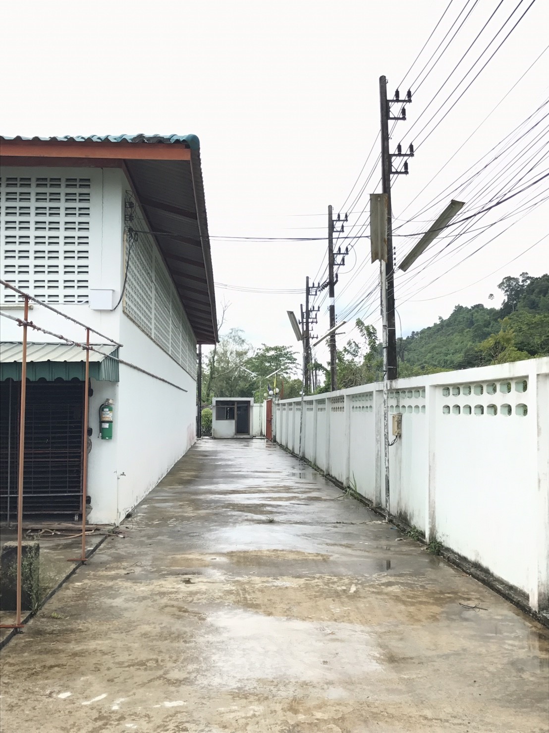 โรงอบปลาสมอทอง อ.กันตัง จ.ตรัง